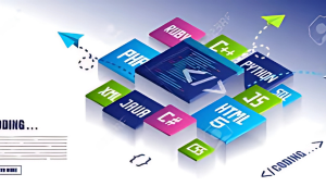 what is the suggested first step for entering software development
