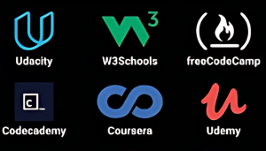 what-is-the-suggested-first-step-for-entering-software-development-
